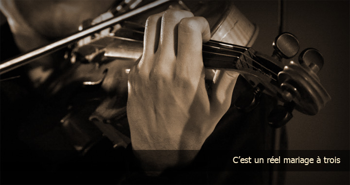 Archets violon : copie, ancien, restauration - Arnaud Suard Maître